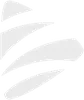 MegaZebra